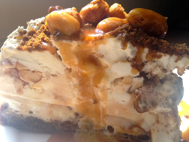 No Bake Cashew & Salted Caramel Ice Cream Cake