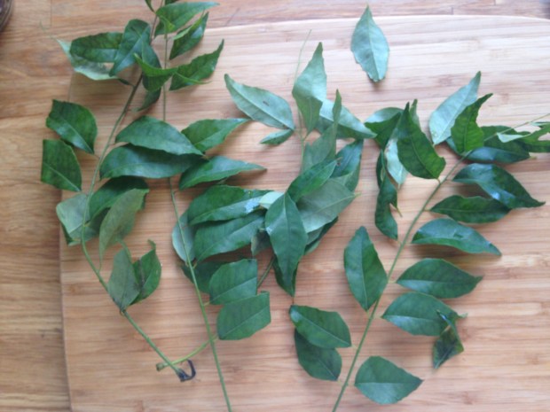 Curry Leaves