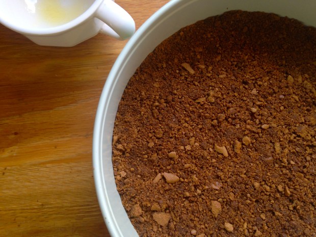 No Bake Cashew & Salted Caramel Ice Cream Cake