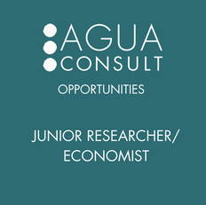 [Closed] Aguaconsult are looking for a  Junior Researcher/ Economist (Finance for WASH).