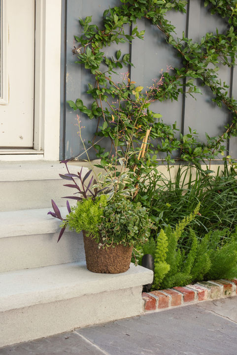 Adobe Express - file (2).jpg