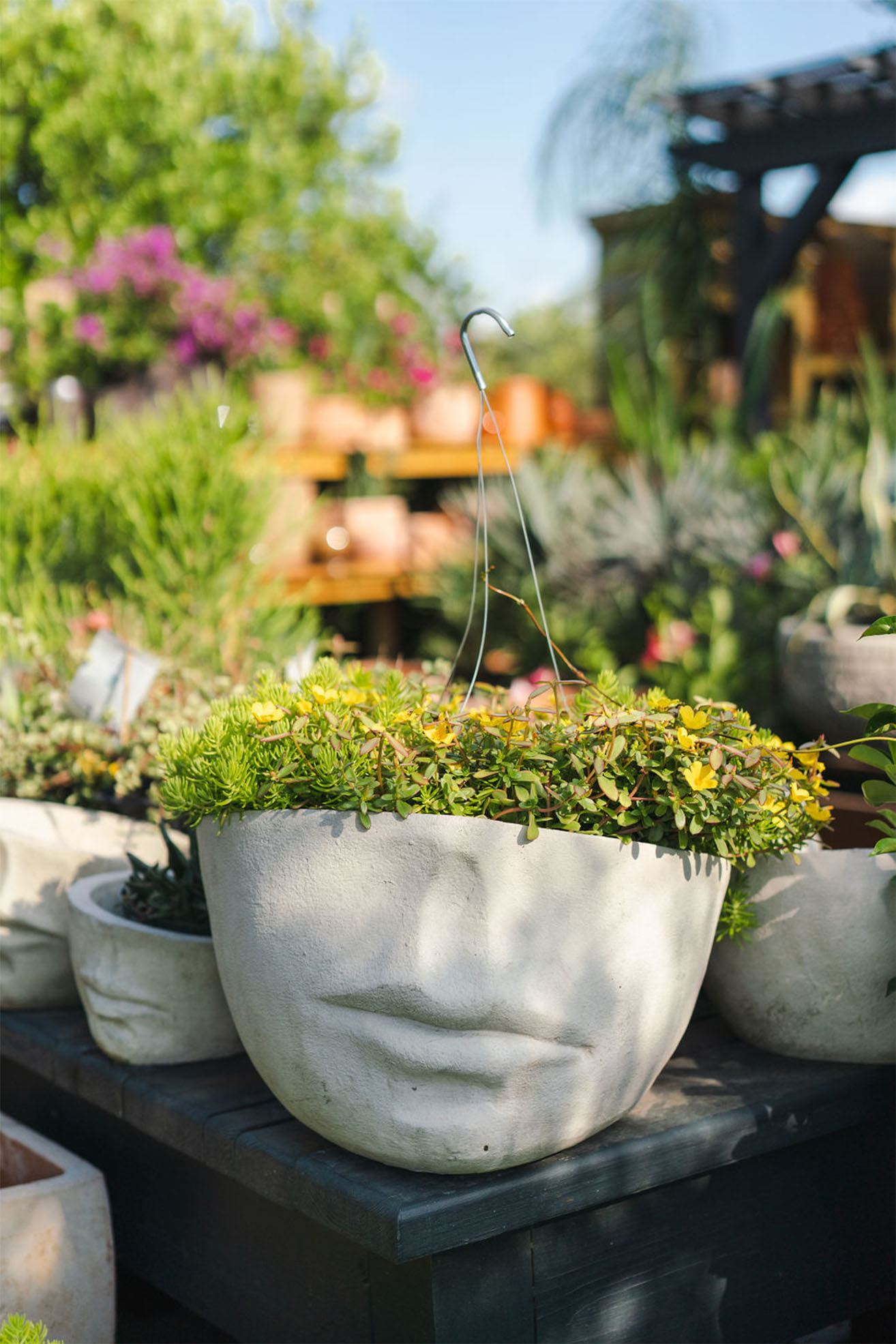 Faccia Planter: Natural