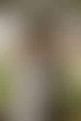 Greenhouse Wedding Photography A couple wrapped together surrounded by plants