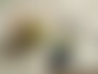 ficus tineke in a Charleston home, styled by Meeting Green