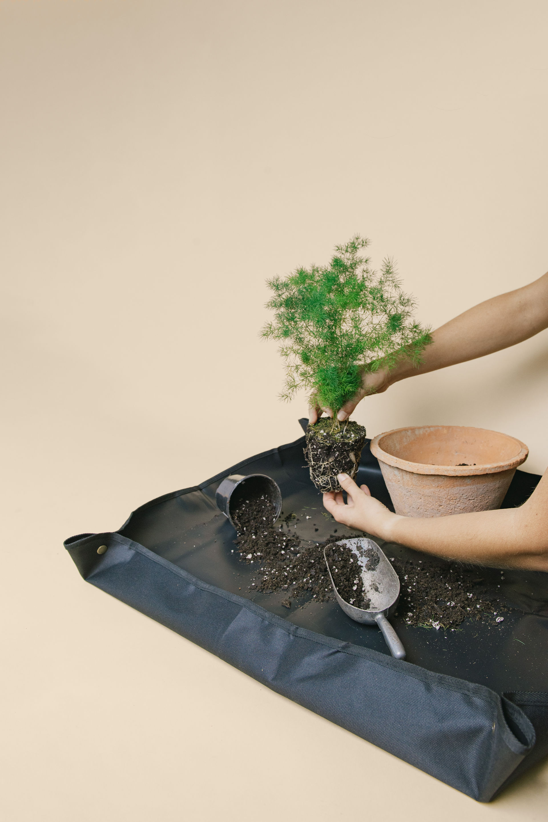 Potting tarp for houseplant repotting tips with Meeting Green in Charleston