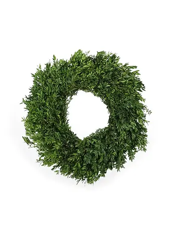 boxwood.webp