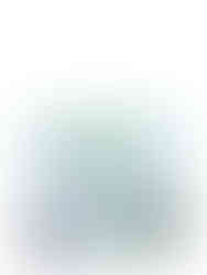 White background with a book titled The Modern Professional Planting Designer 