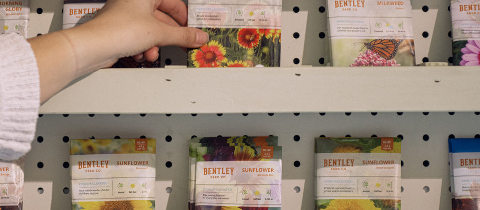 Meeting Green seed wall