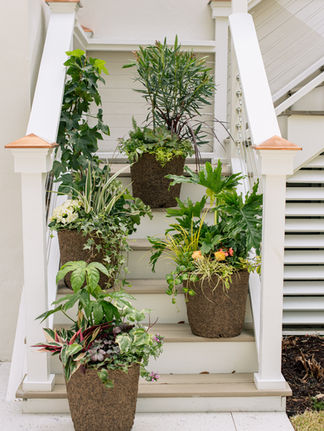 The four cultivated container styles by Meeting Green: funky, formal, dramatic, drought tolerant