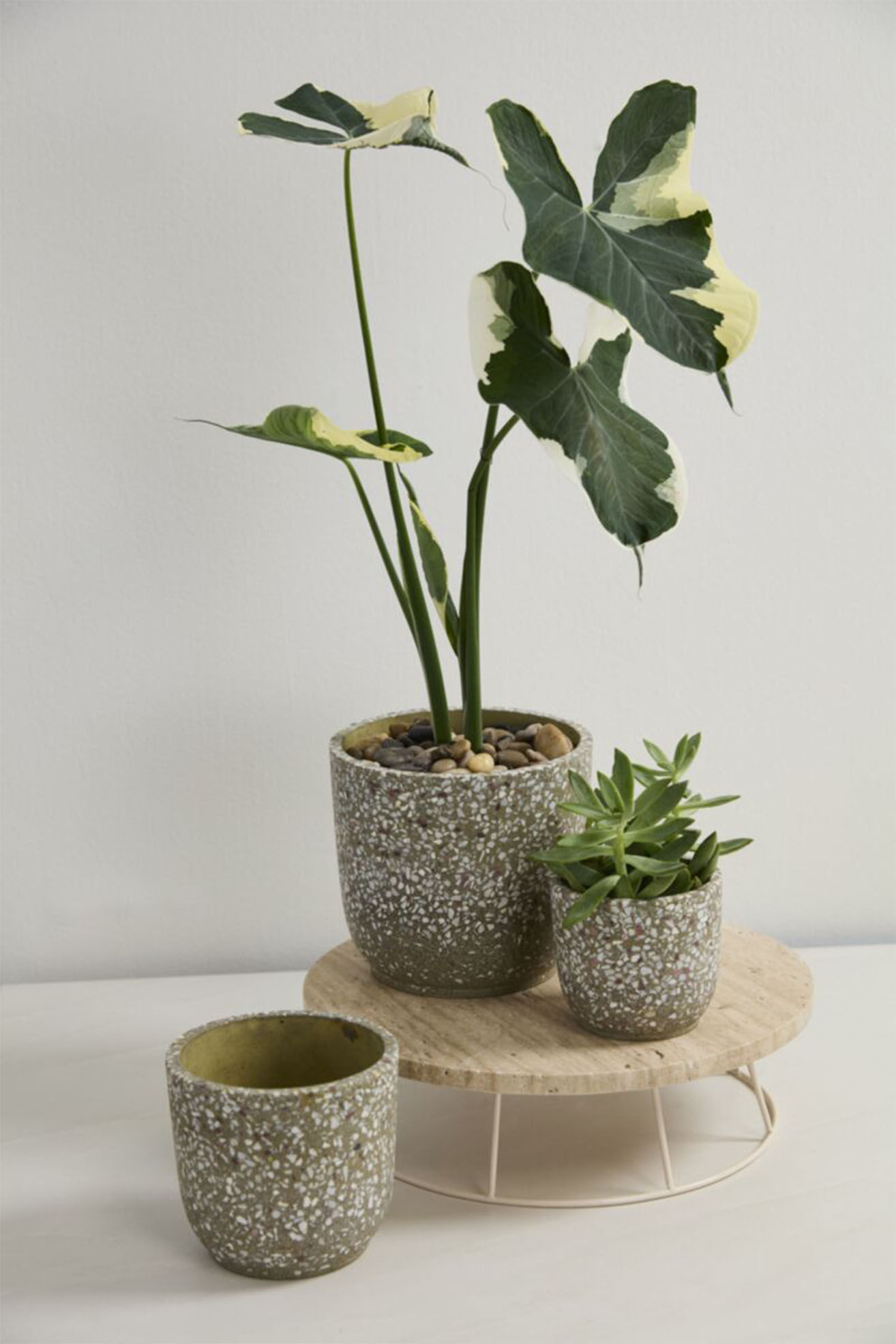 Verde Pot