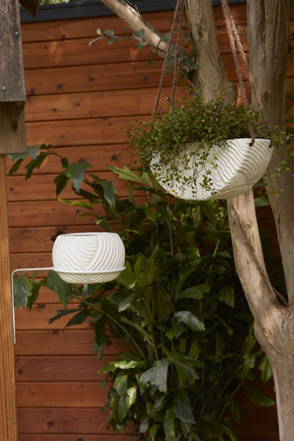Thumbnail: Topography Hanging Planter