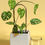 Thumbnail: Self-Watering Plant Climber