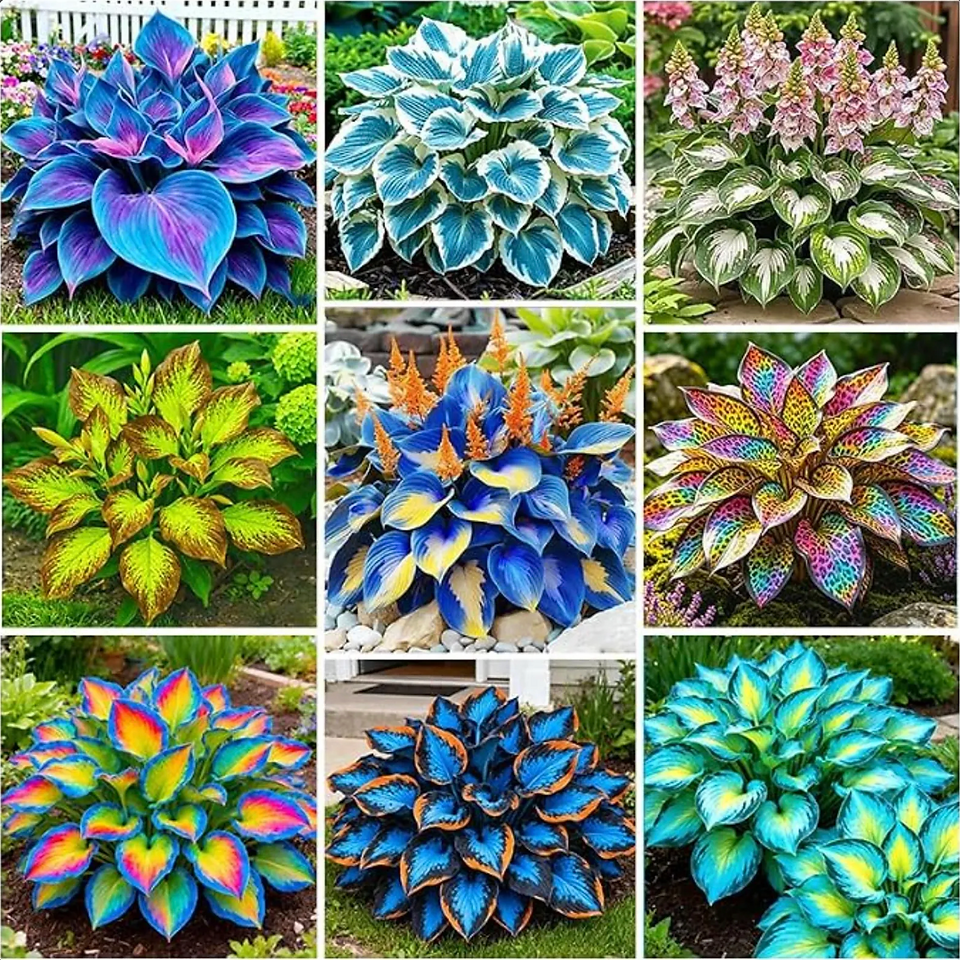 A collage of nine different colorful, AI generated hostas with blue, yellow, green, and rainbow leaves.