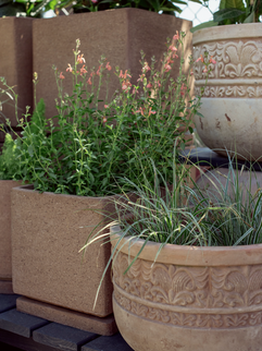 Meeting Green Charleston plant and pots