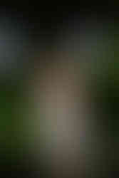 Greenhouse Wedding Photography A woman fixing her shoe in a wedding dress