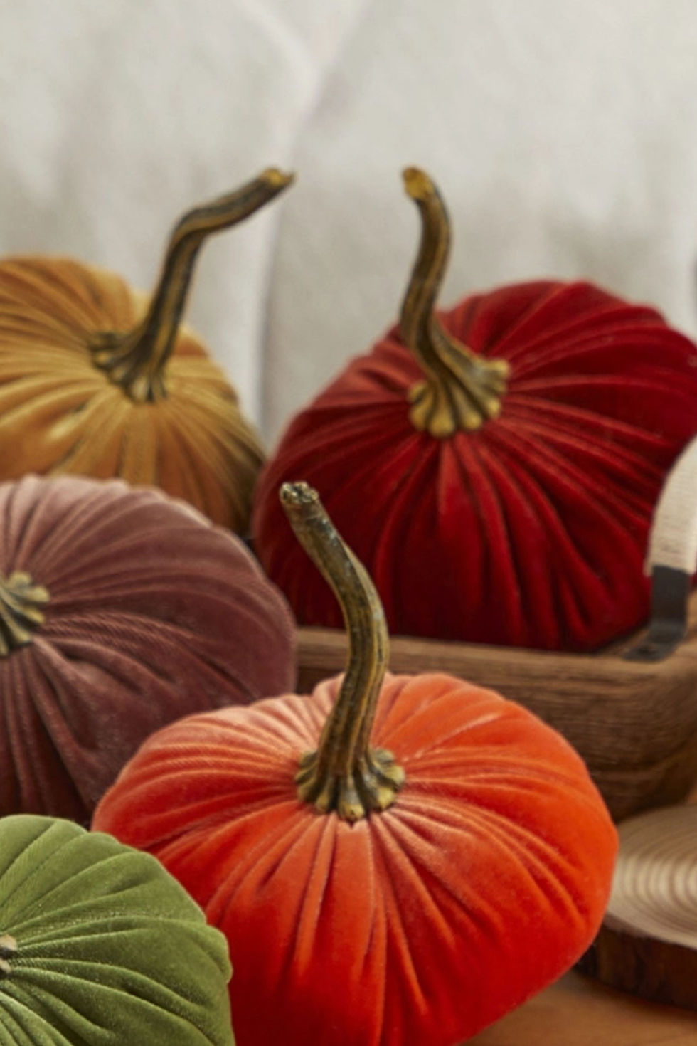 Thumbnail: Velvet Pumpkin: Small