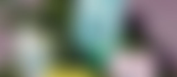 Rosy Soil with various houseplants at Meeting Green in Charleston