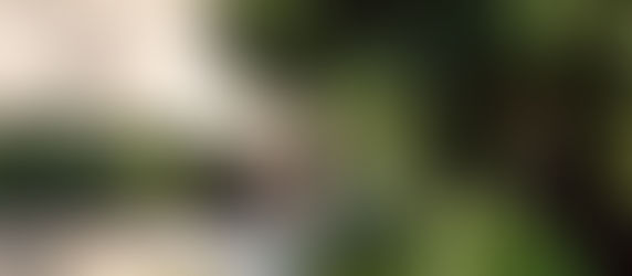 Supporting Local: Shop Wreaths and Garlands at Meeting Green for Your Holiday Decor in Charleston