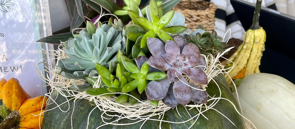 Planted Pumpkin DIY Tutorial