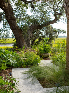 Muhly or sweet grass and philodendron selloums planted along a stone path, leading to a backyard covered by a large oak tree. Design and landscape install by Meeting Green.