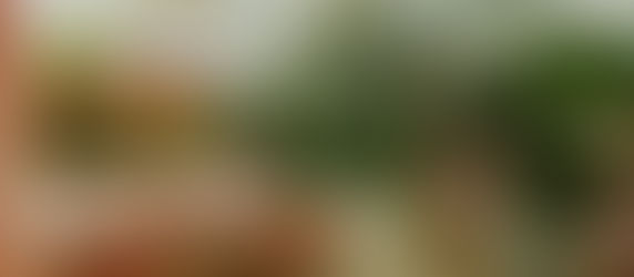 Do Plants Like Music?