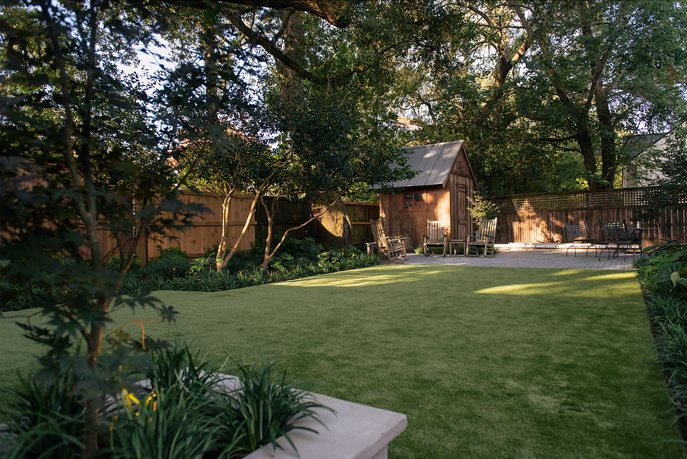 Charleston Landscape project with shade plants, camellias, tractor seat in Charleston