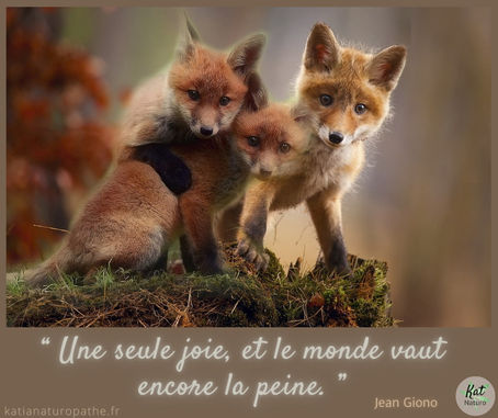 Citation de Jean Giono, écrivain et cinéaste français