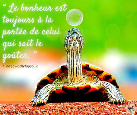Citation de François de La Rochefoucauld, écrivain, moraliste, mémorialiste et militaire français