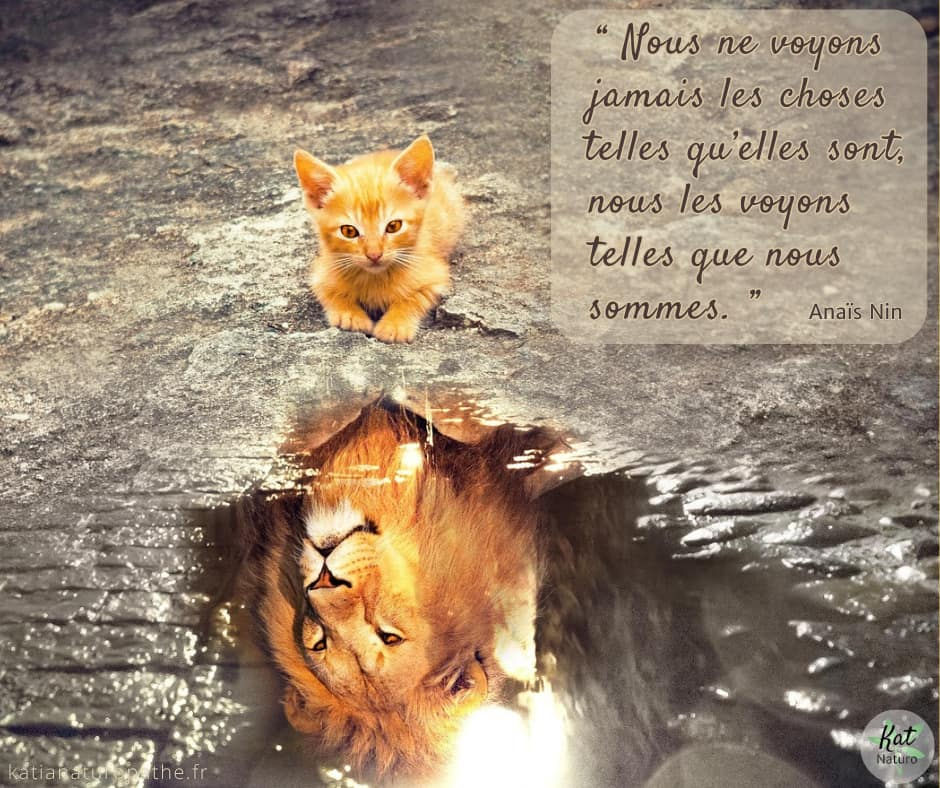 " Nous ne voyons jamais les choses telles qu’elles sont, nous les voyons telles que nous sommes.. ” Citation de Anaïs Nin, écrivaine hispano-franco-américaine (1903-1977) 