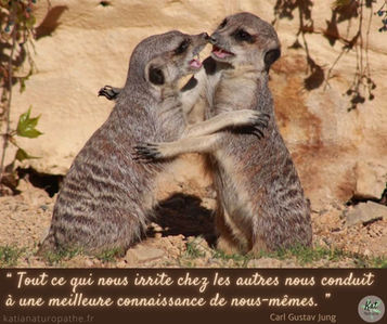 Se connaître soi même