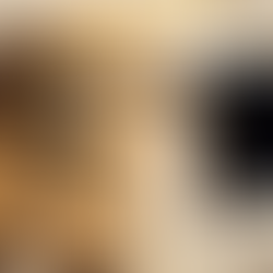 Discover the magic in your smartphone