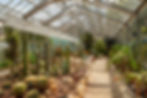 Top Attraction in Pisa? Visit greenhouse in botanical garden of Pisa (Orto botanico di Pisa) in Italy