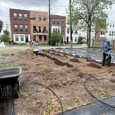 Gardener preparing soil in an outdoor garden