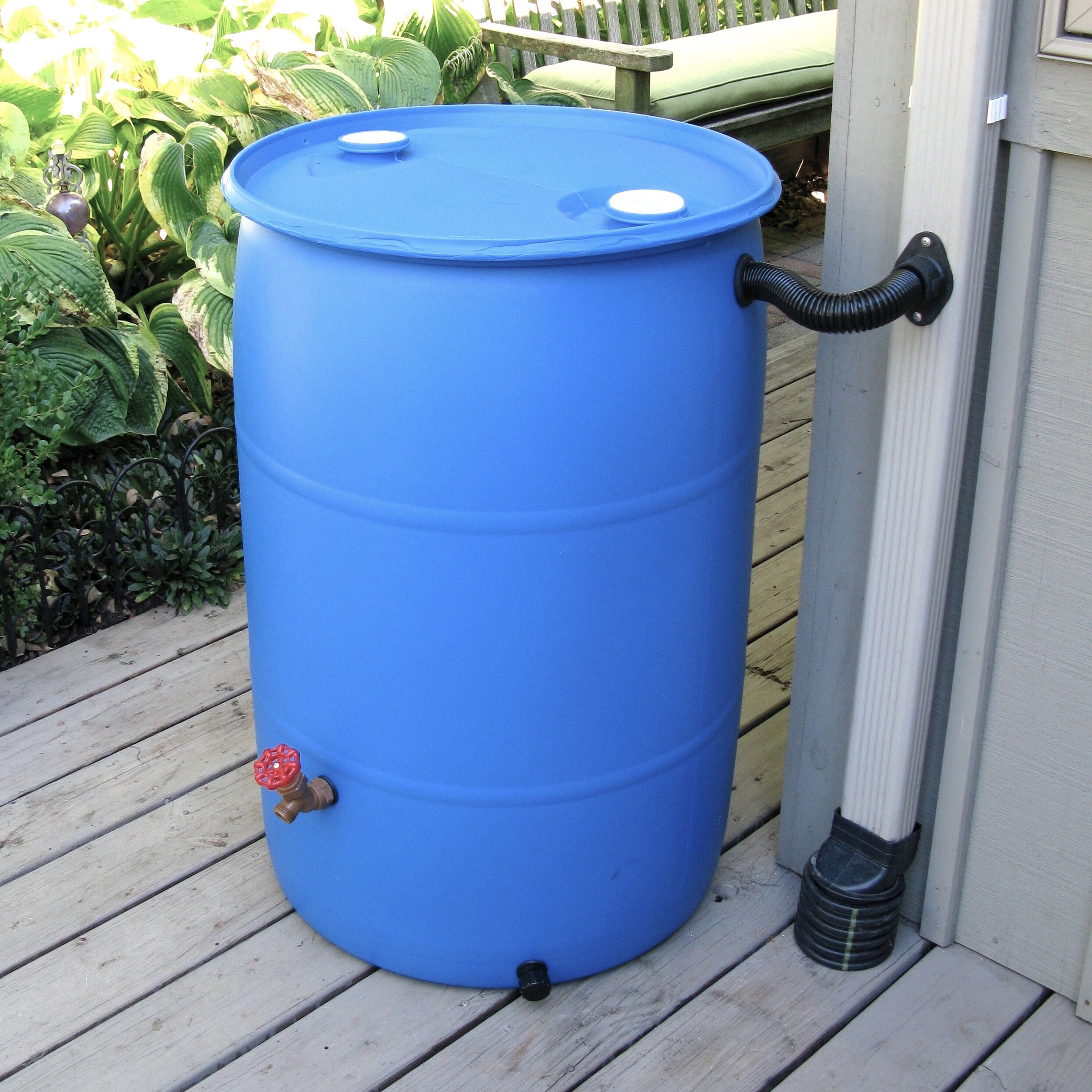 Blue 55 gallon rainwater tank connected to a downspout