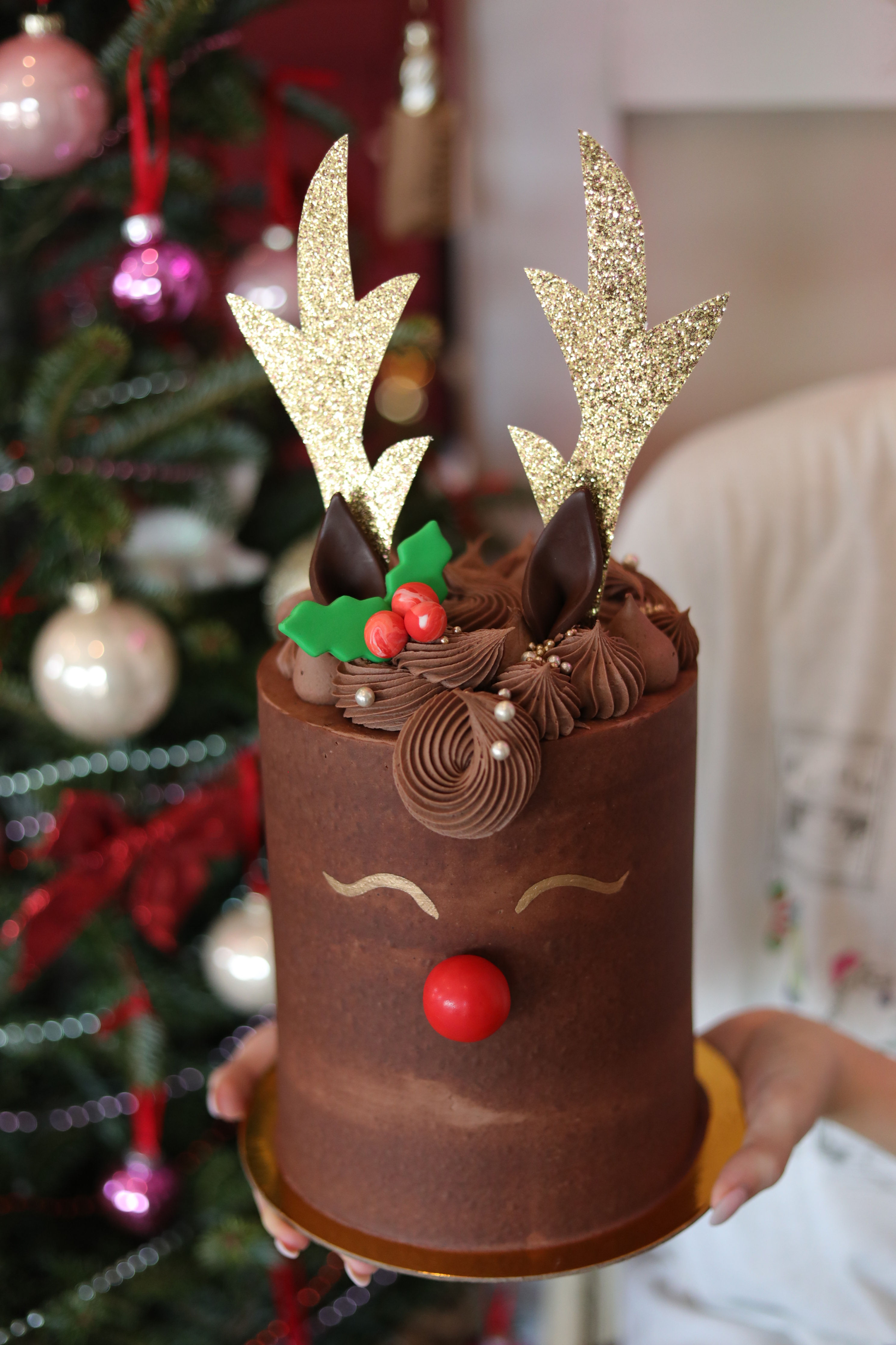 Reindeer Cake Class - Saturday, December 5, 2026
