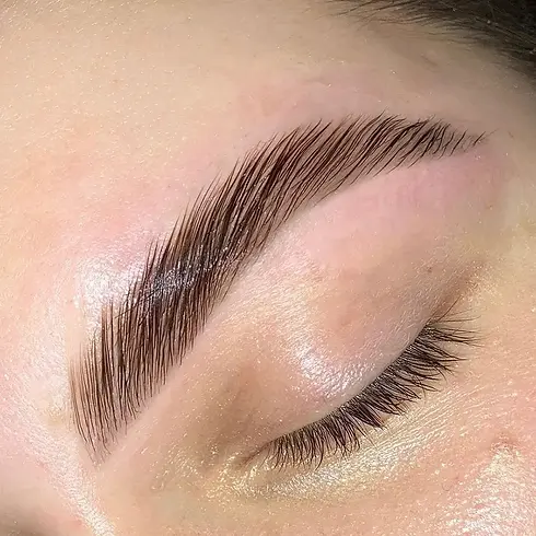 eyebrow-lamination-guide-pmuhub.webp