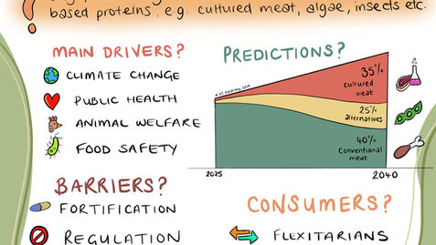 Alternative Proteins Radically Change our Diets but are they nutritious?
