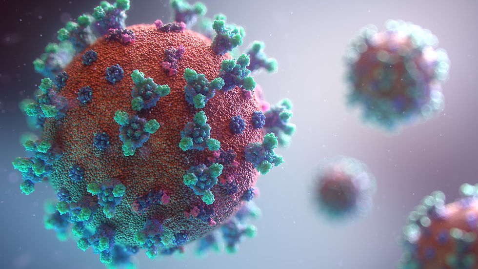 Corona Virus Bild