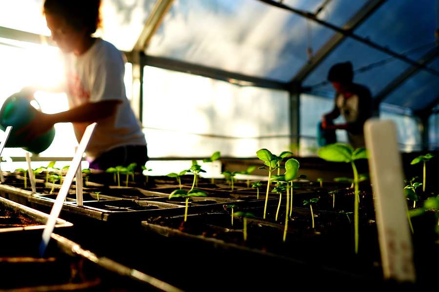 greenhouse_180430034509.jpeg