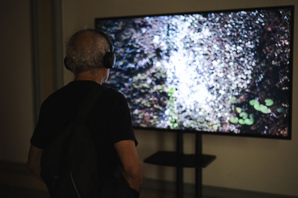 Exposição Atlânticos, no Teatro Baltazar Dias