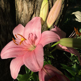 Hotels-Models14015 2_edit_new 2.jpg