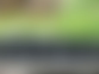 Restore and Renew tree cover in Busoga, Uganda and Restore and Renew our buildings at St James