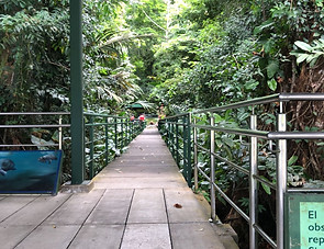 Tortuguero National Park