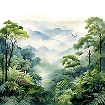 Costa Rica Forest