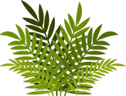 tl.webp