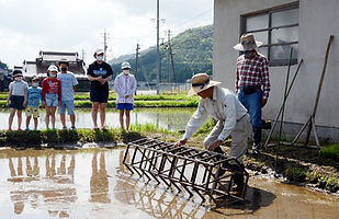 田植え.jpg