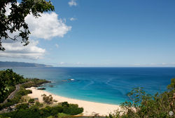 エディ・アイカウ伝説を生んだビーチ