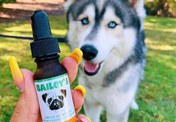 bailey's cbd case study with Alia shopify app
