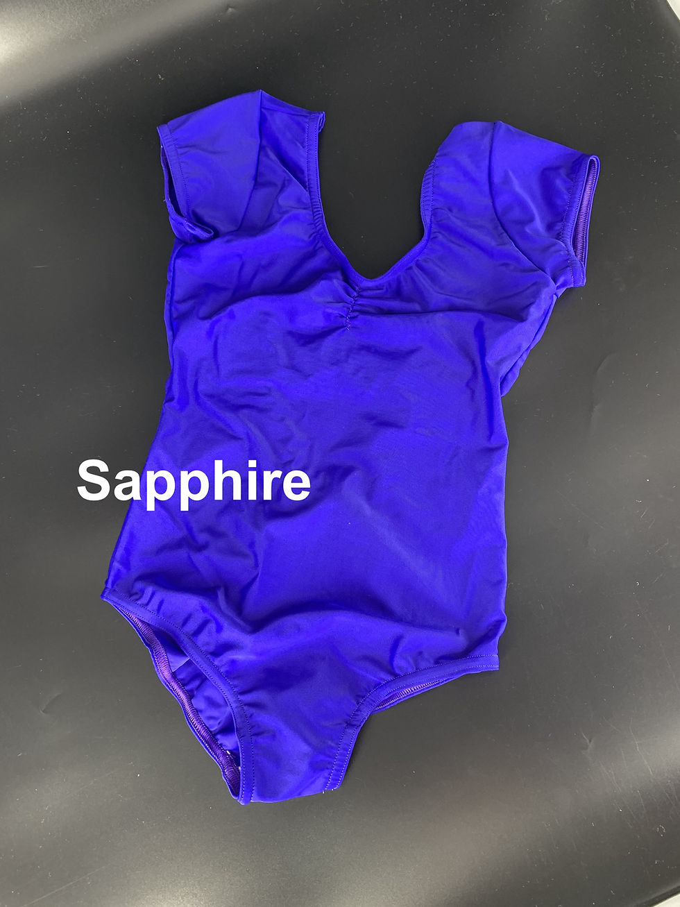 Thumbnail: Ballet Leotards