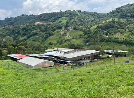 Innovation - Finca B.jpeg
